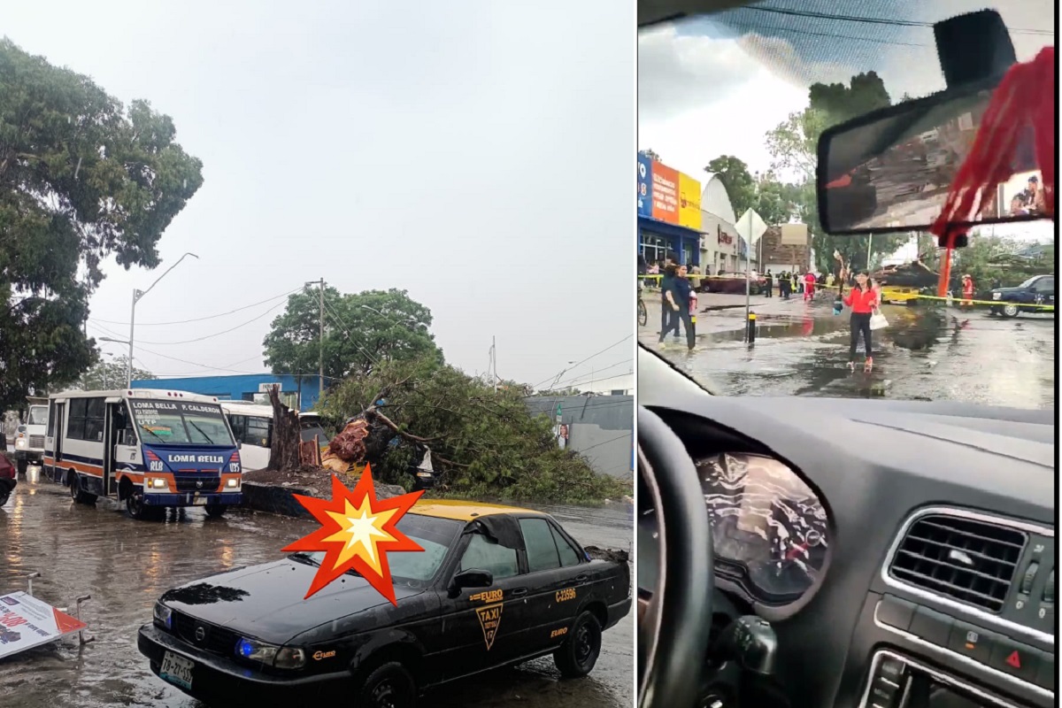 Videos Y Fotos Fuertes Lluvias En Puebla Causan Ca Da De Rboles