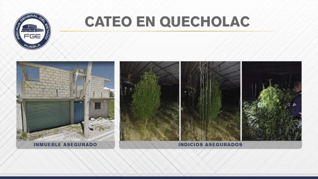 Cateo Quecholac 01 e1594344669153