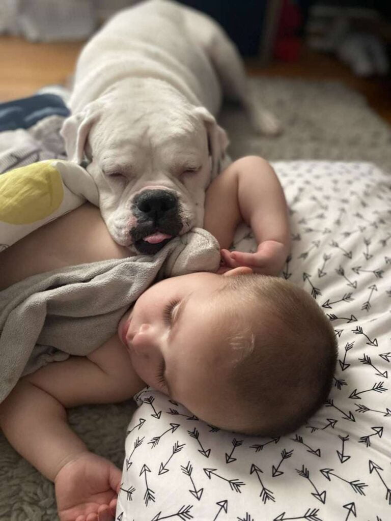 PERRO Y BEBE