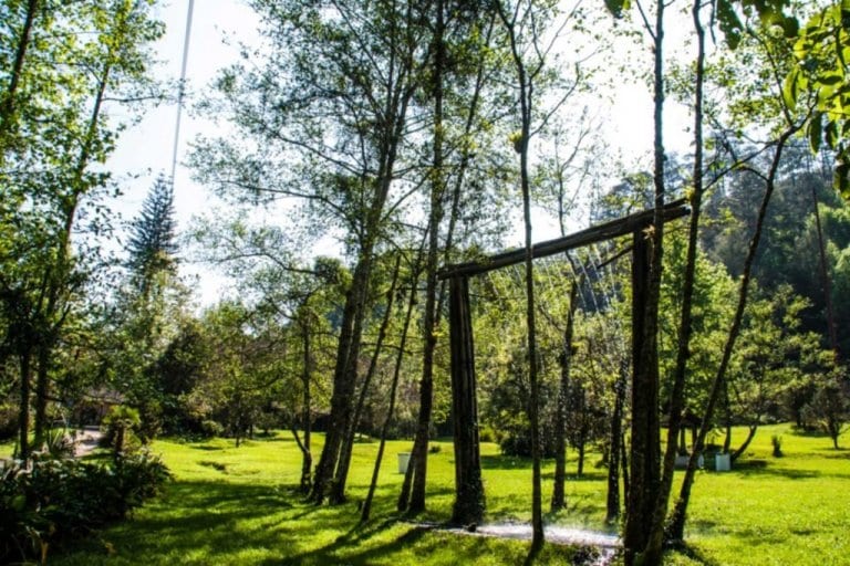 act area02 1024x683 768x512 1