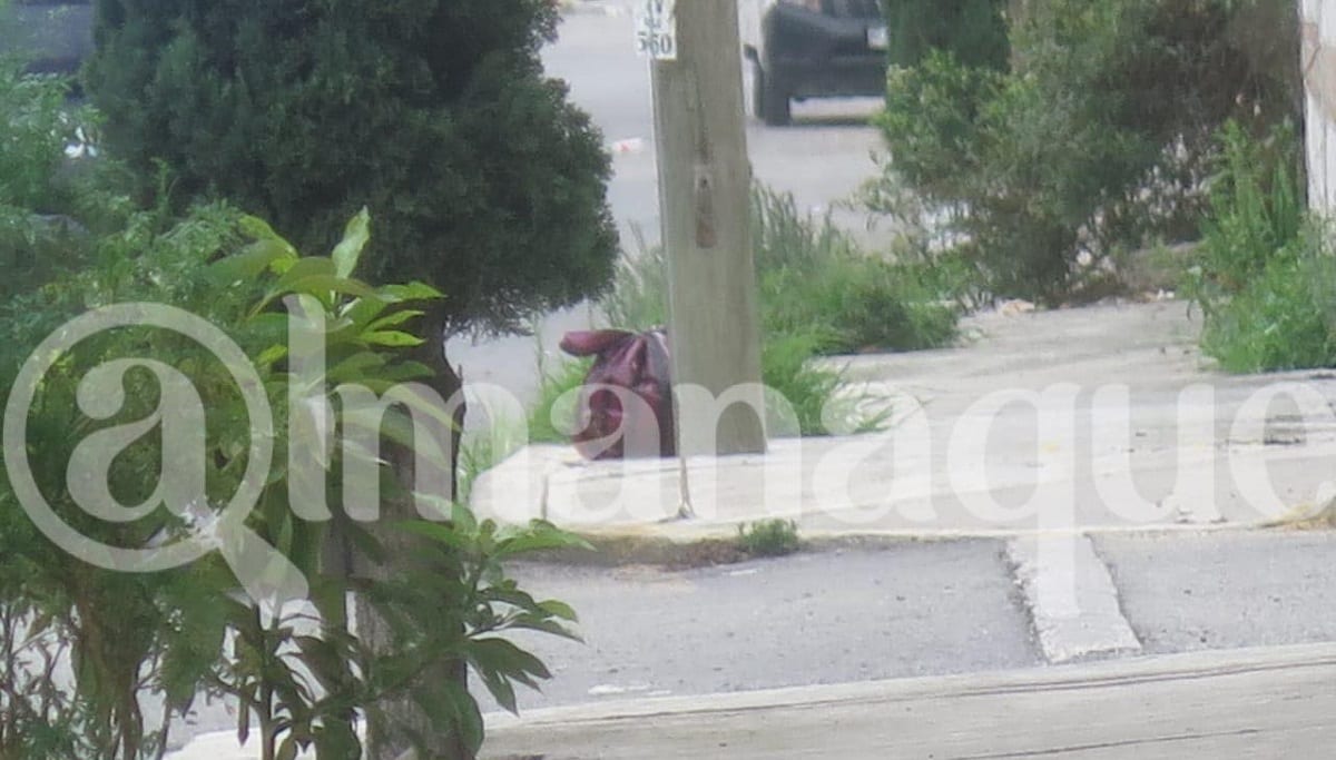 IMAGEN FUERTE: Hallan la cabeza de una mujer en una bolsa de plástico en Puebla 3 cabeza