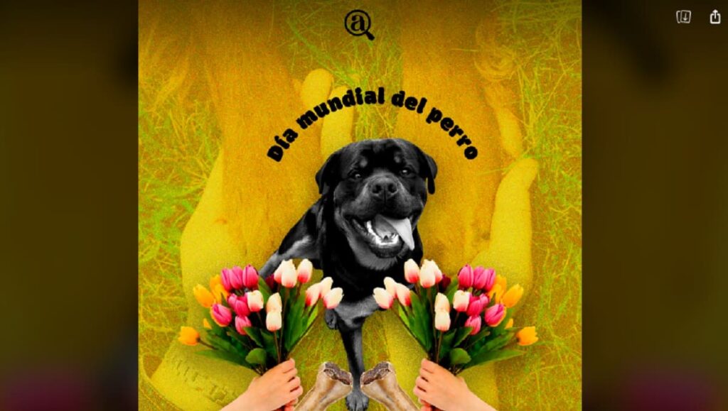 dia del perro 1