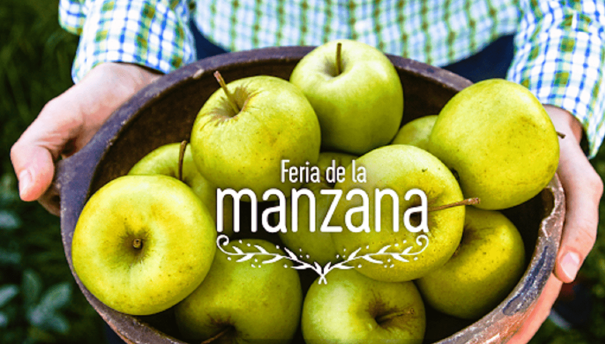 Zacatlán realizará Feria Digital de la Manzana 2020 3 feria 1