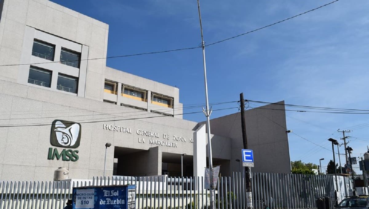 Tras operación, reporta Salud que Yaz está estable 1 margarita 1 1