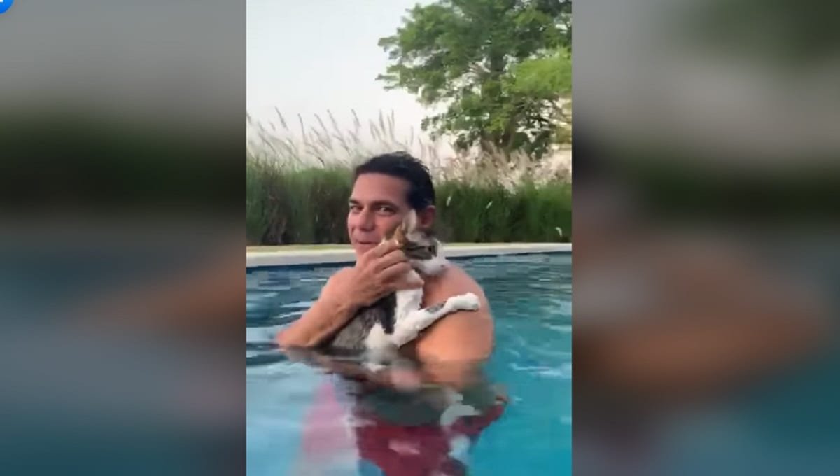 VIDEO: Gato se vuelve viral por decir “me ahogo” en una piscina 1 michi