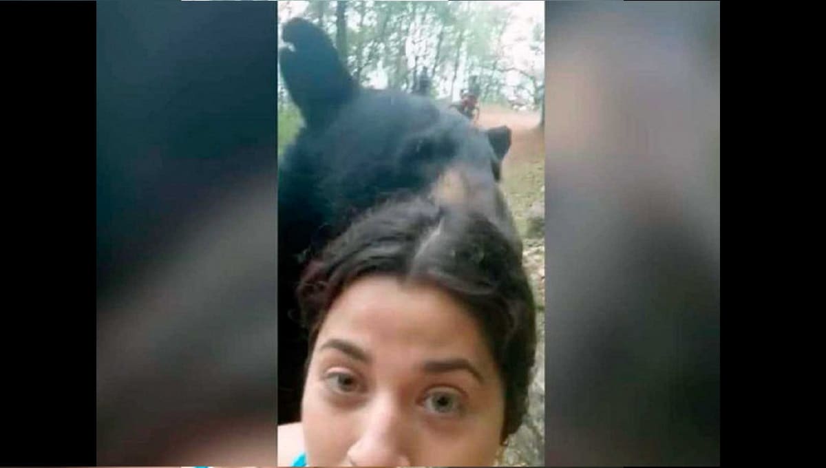Esta es la selfie que se tomó la joven con el oso que se acercó a olfatearla en Nuevo León 4 nuevo leon 1