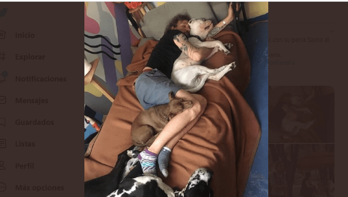 Muere actor al saltar a un pozo de azufre para rescatar a su perrita en Michoacán 1 pablo