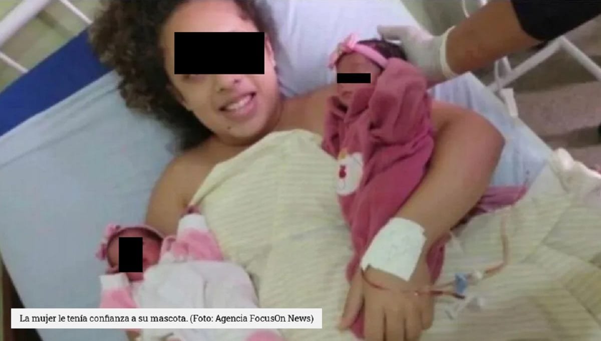 Perro ataca a gemelas recién nacidas y las mata en Brasil 4 perro celoso