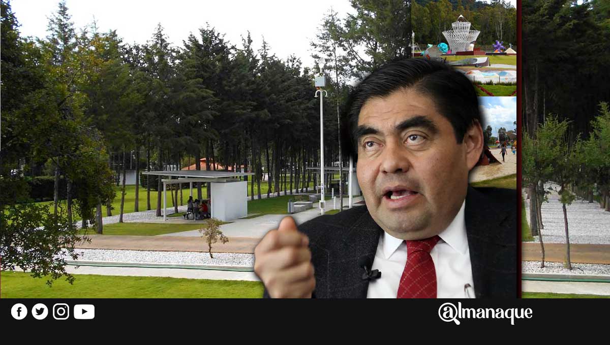 Barbosa rescatará Flor del Bosque: recupera predio y pide lo declararen área protegida 1 portada barbosa Flor Bosque