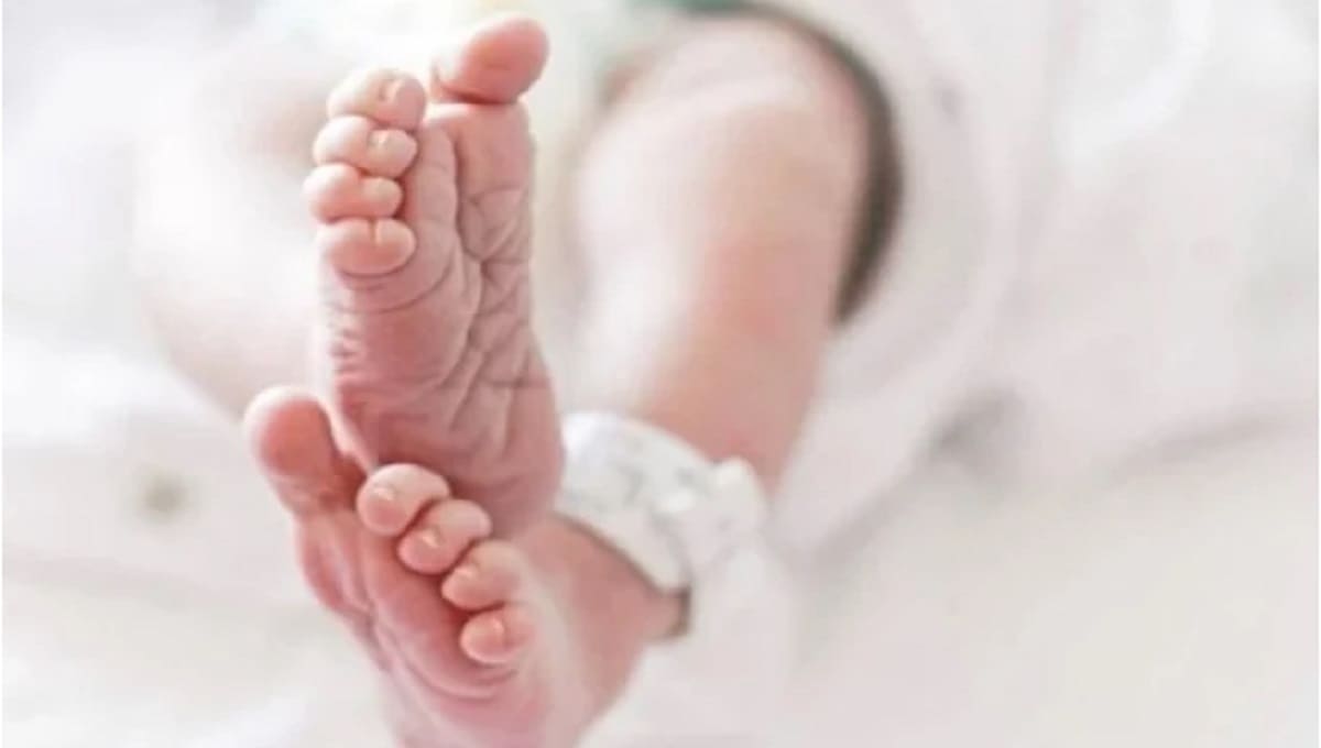 Mujer mata a sus gemelos en Nueva York porque no los quería 2 recien 1