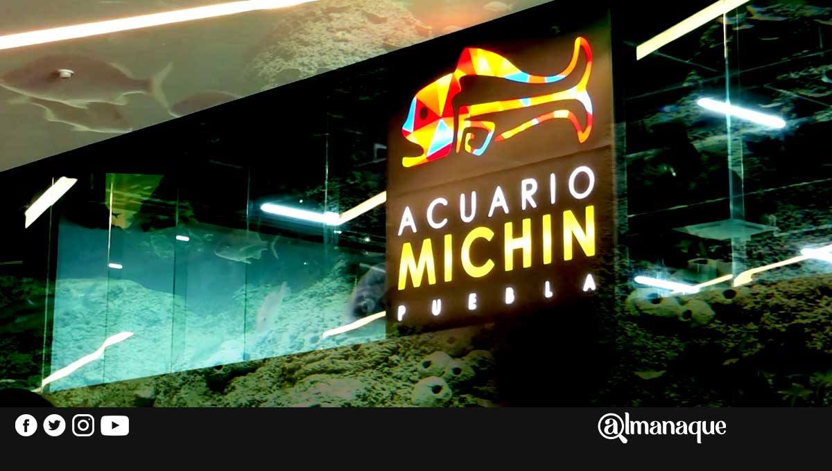 Acuario Michin ofrece recorridos privados para evitar cierre 1 Acuario Michin Puebla