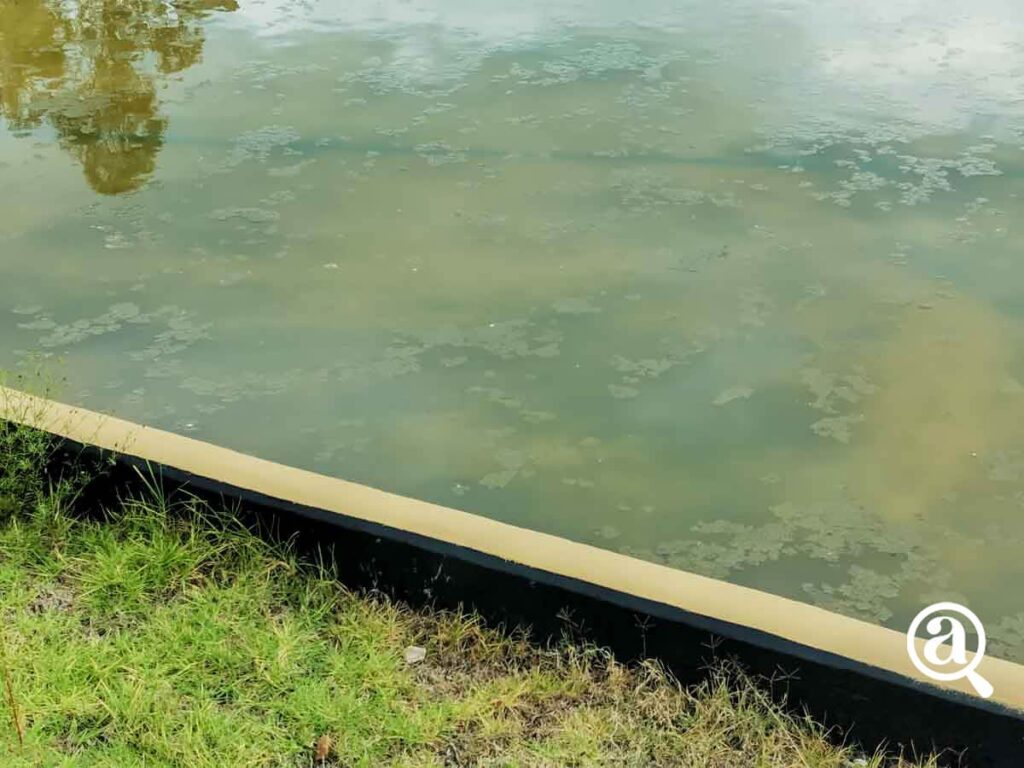 CERRO DE AMALUCAN 24