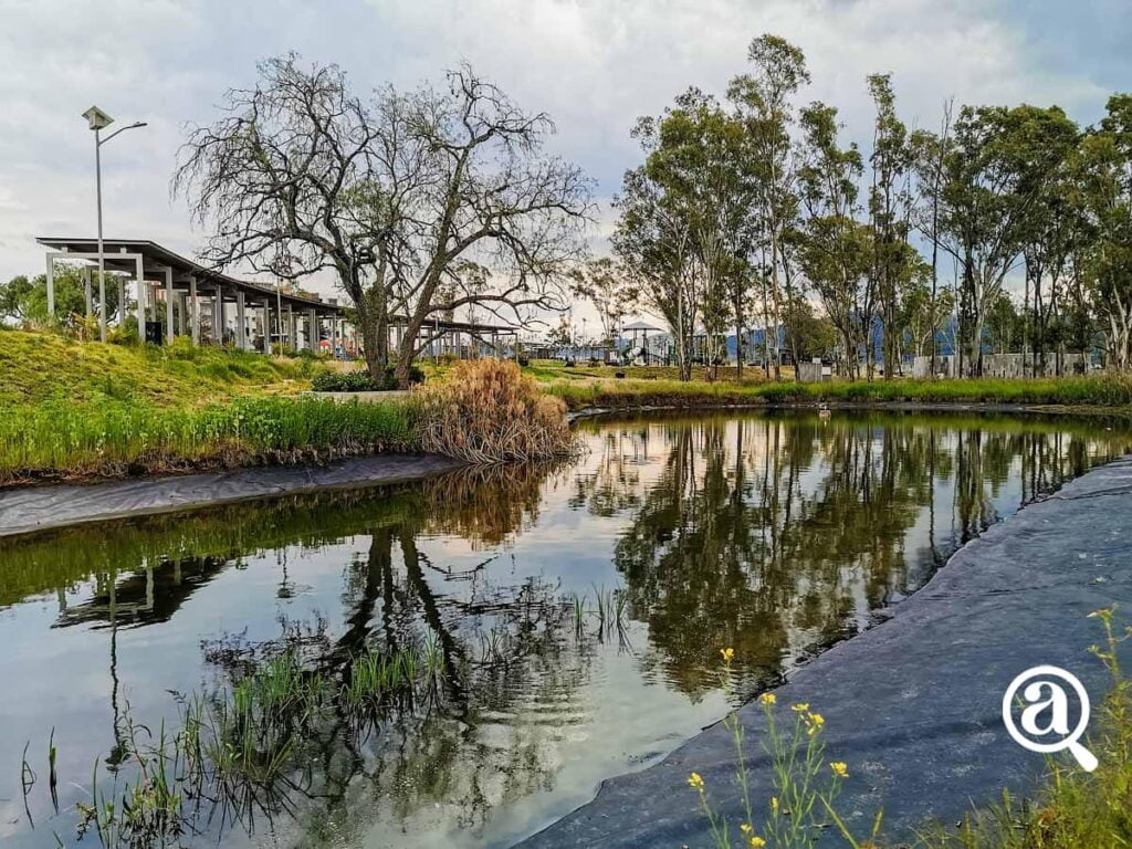 CERRO DE AMALUCAN 30