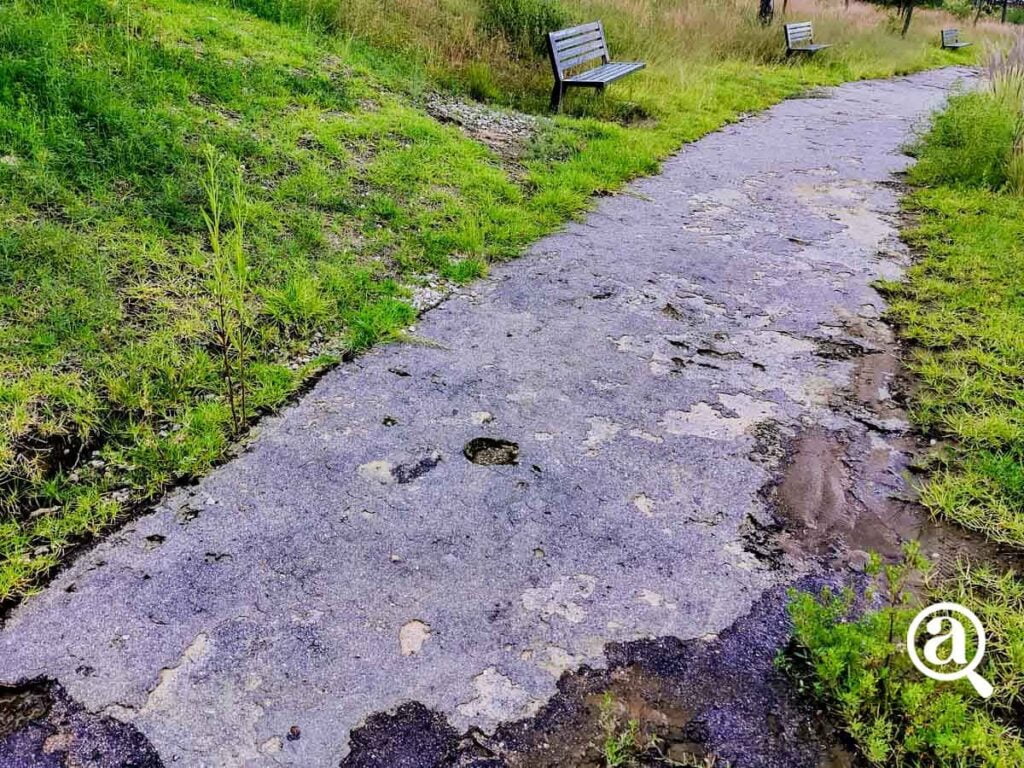 CERRO DE AMALUCAN 42