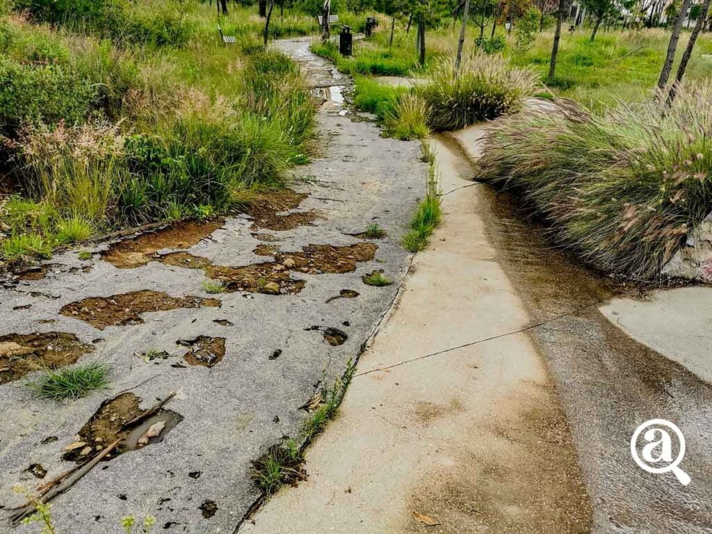 CERRO DE AMALUCAN 44