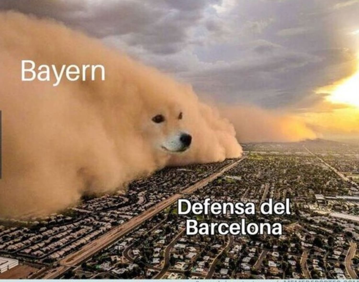 Los Mejores Memes Que Dej El Encuentro Barcelona Bayern Munich Almanaque