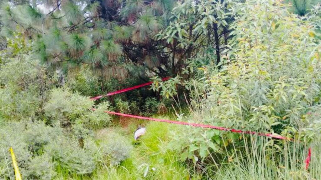 WhatsApp Image 2020 08 11 at 5.07.47 PM 2