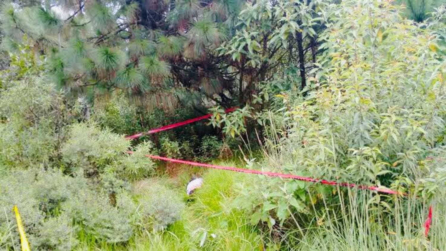 WhatsApp Image 2020 08 11 at 5.07.47 PM 2