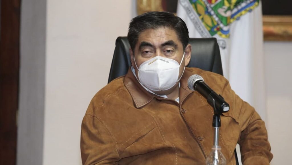 barbosa flor del bosque 1