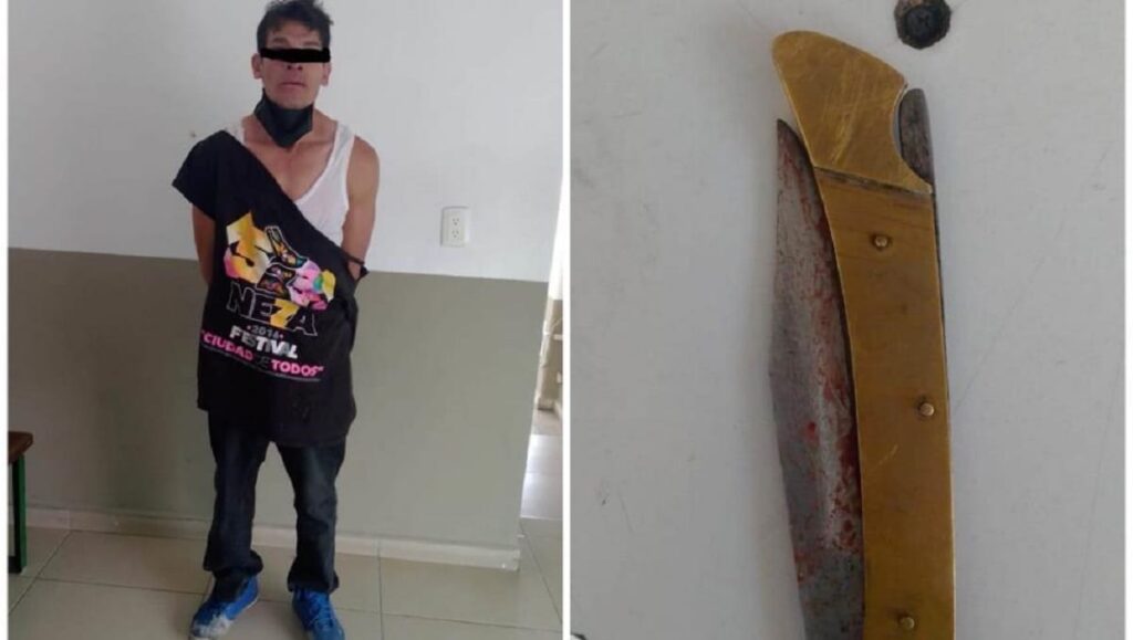 perro focus 0 0 983 557