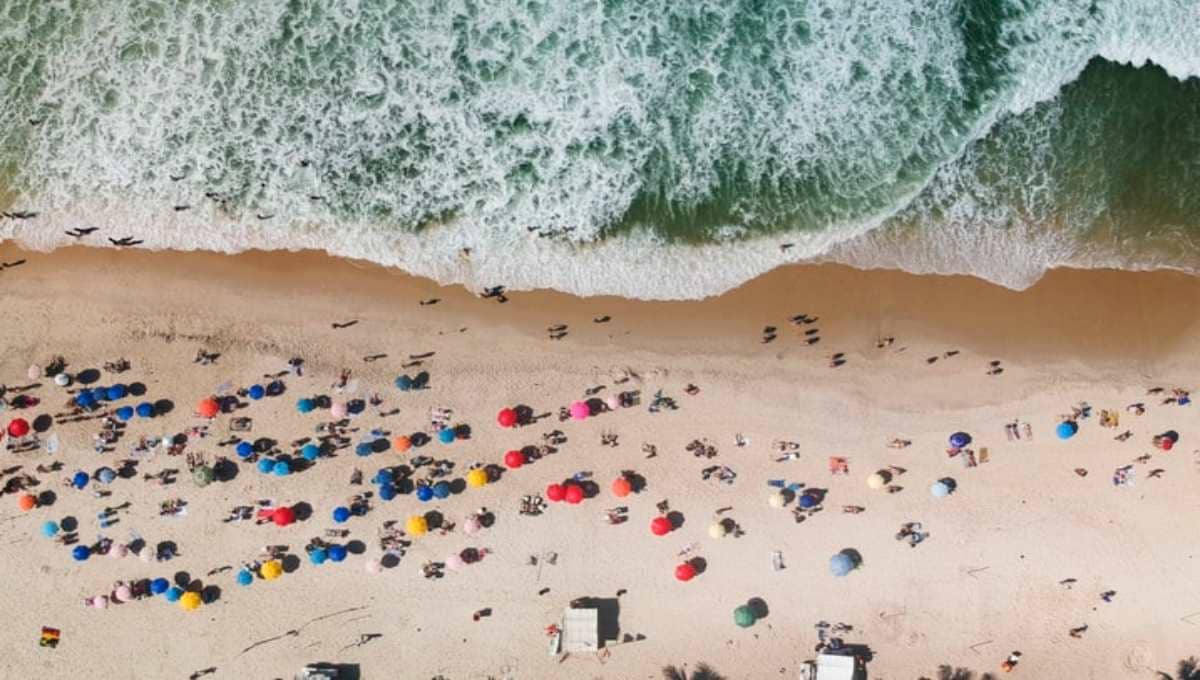 puentes ciclo escolar SEP Miguel Torruco 1