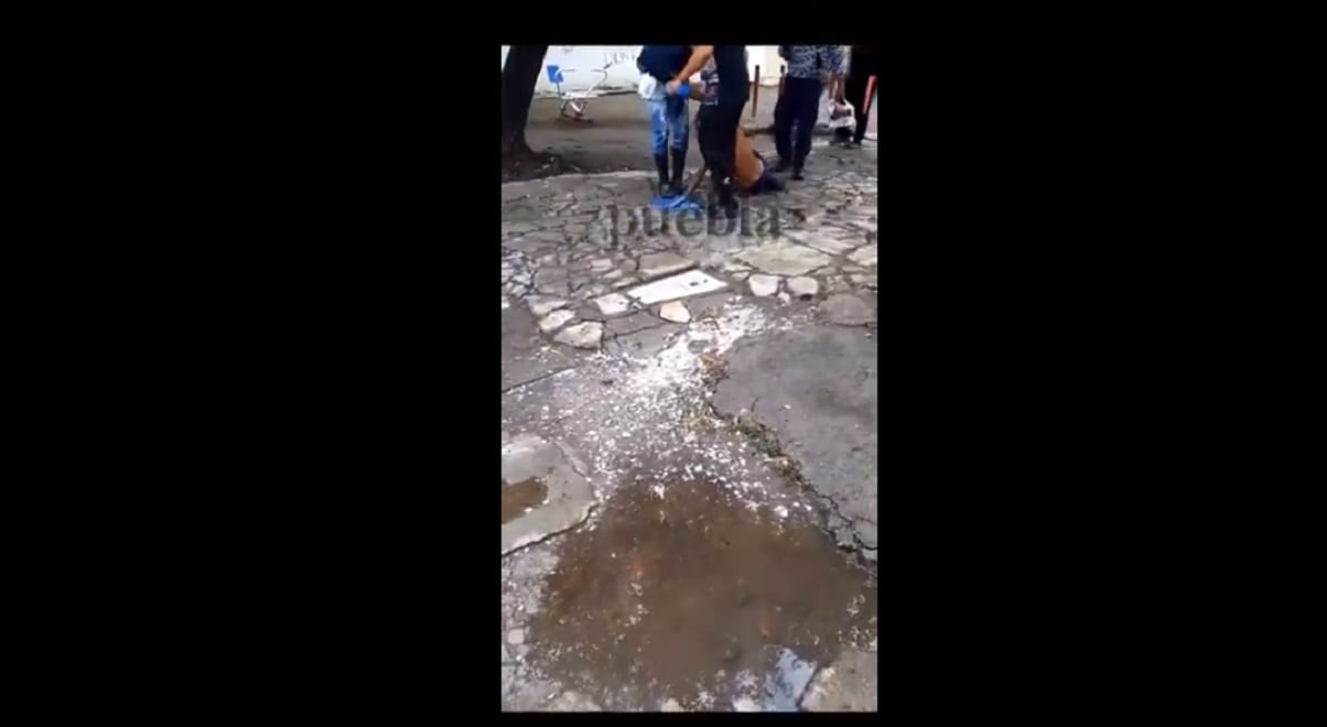 “Ya estuvo”, clama ladrón que atraparon y golpearon en Loma Bella 1 rata 1