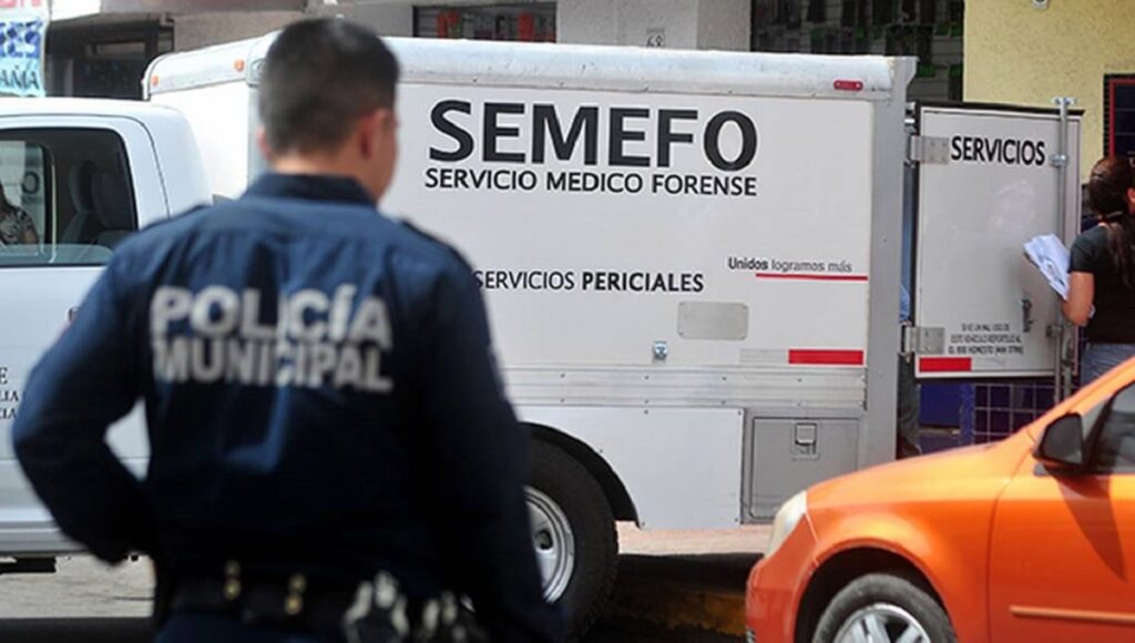 semefo