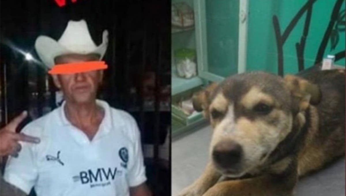 Condenan a un año de prisión al hombre que violó a una perrita en Nezahualcóyotl 1 violaacioxn perrita.jpg 915315335 1