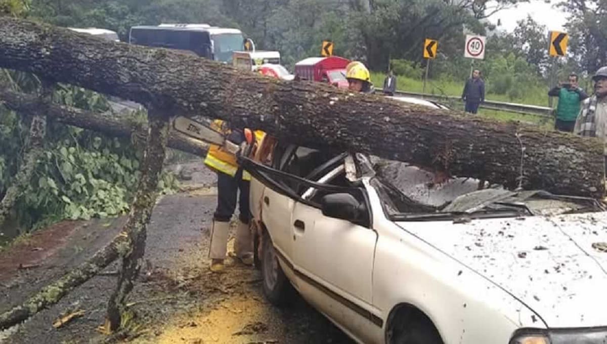 34990ee4bcc571cea1b55310b190a437 L 1