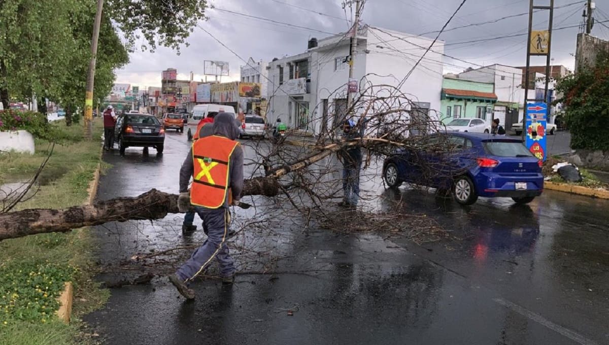 Reportan caída de árboles e inundaciones en la ciudad de Puebla 1 EiJcr3iU8AESsK0 1