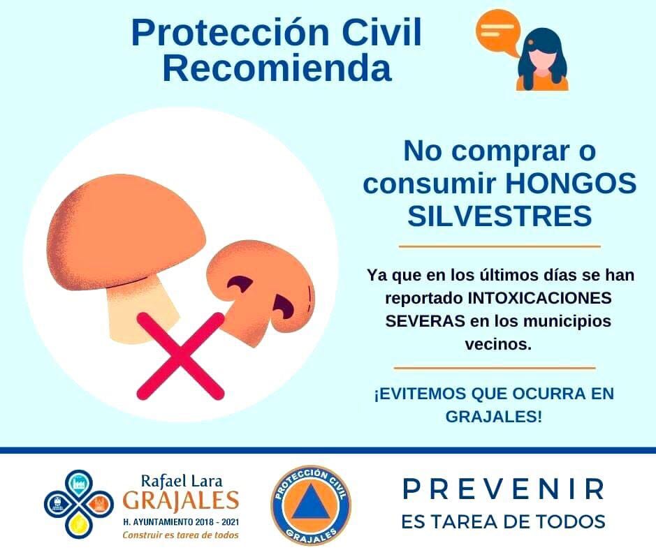 WhatsApp Image 2020 09 07 at 8.54.45 PM