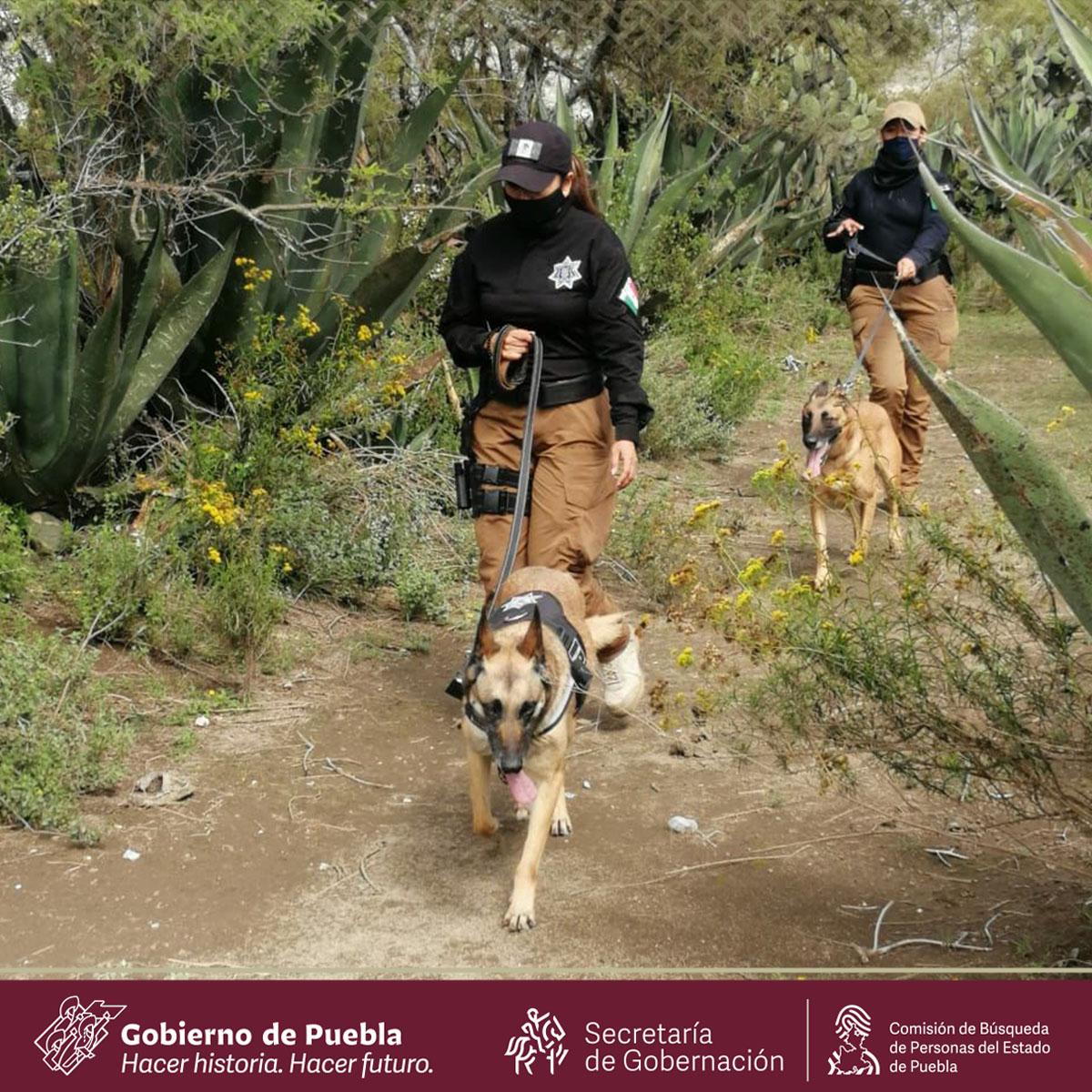 WhatsApp Image 2020 09 11 at 7.49.02 PM