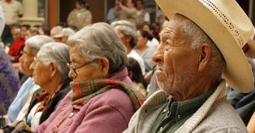 adultos