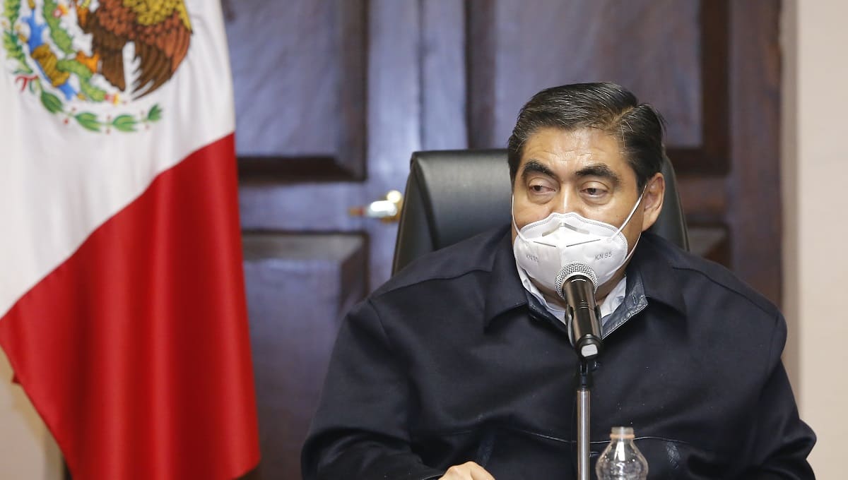 barbosa comportamiento social 1