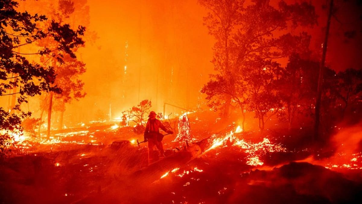 Declaran estado de emergencia y evacuan a miles de personas por incendios en California 1 california 1