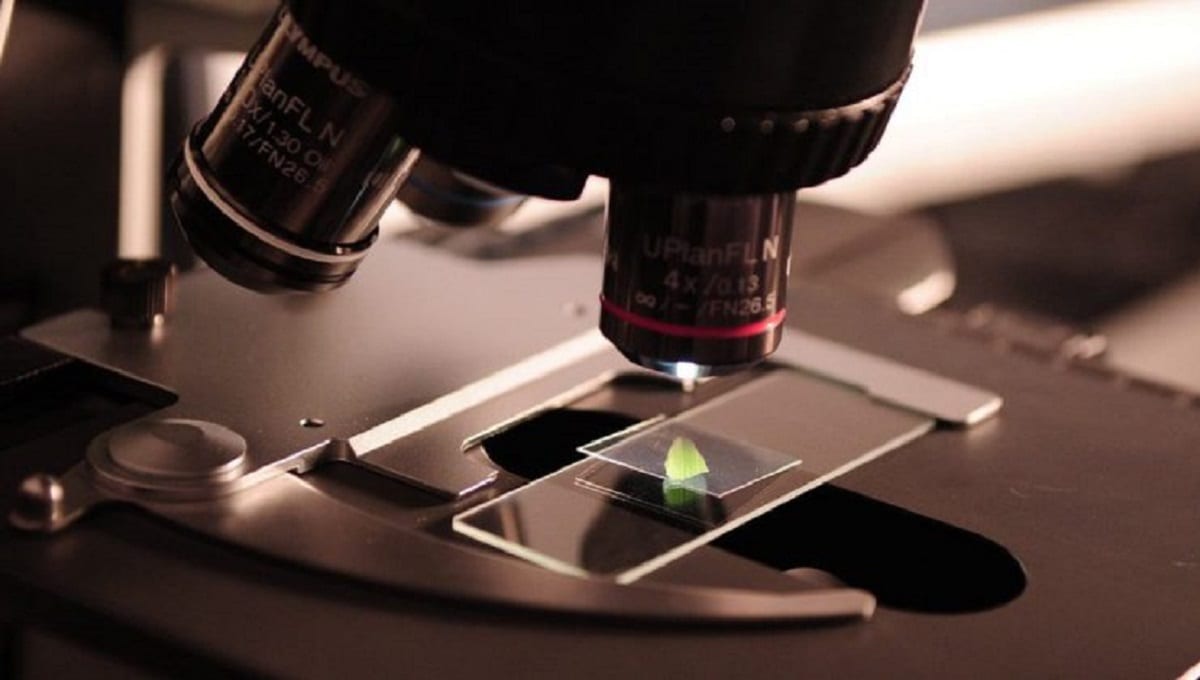 La 4T eliminará fondo de investigación científica de Puebla por más de 100 millones de pesos 1 ciencia