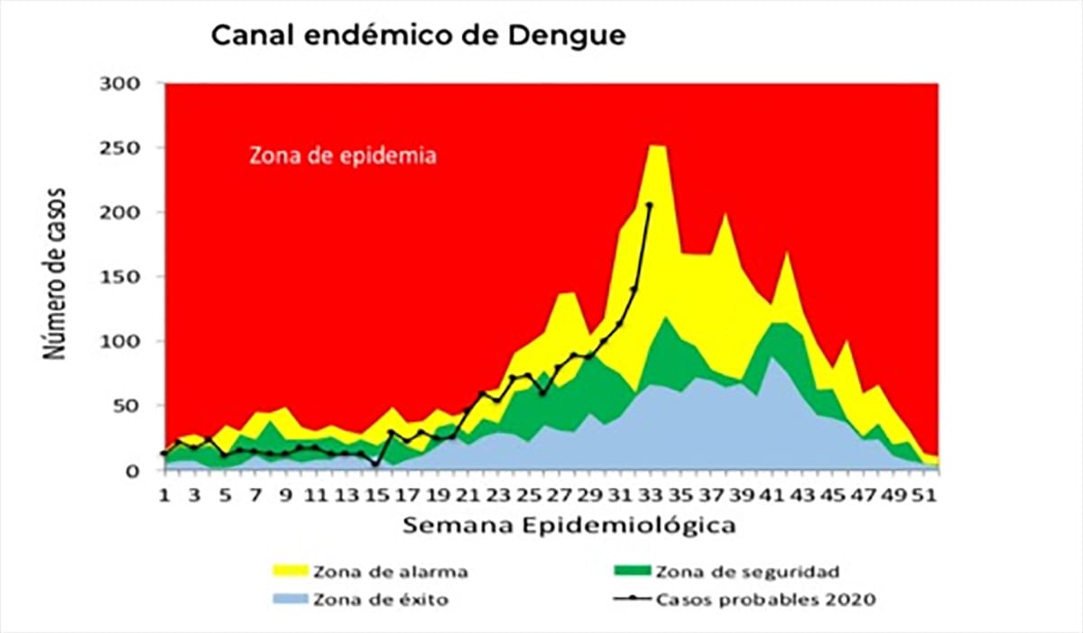 grafica casos dengue