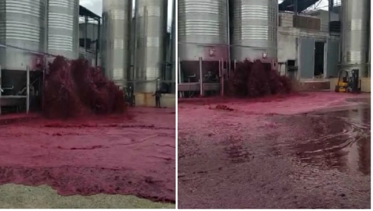 Miles de litros de vino se desperdician tras reventarse un depósito en España 1 los hechos sucedieron en espana 55 0 1045 650 1
