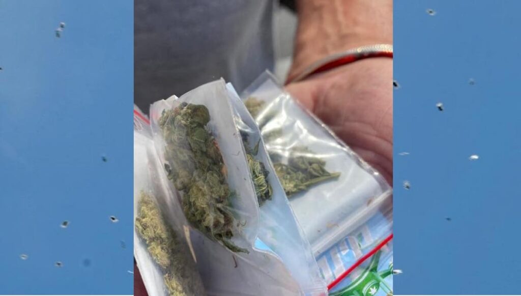 marihuana 1
