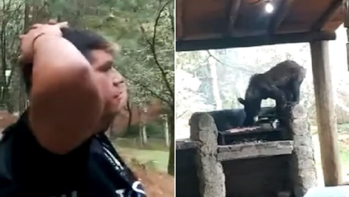 Oso roba carne asada a familia en Nuevo León 1 oso roba carne 1