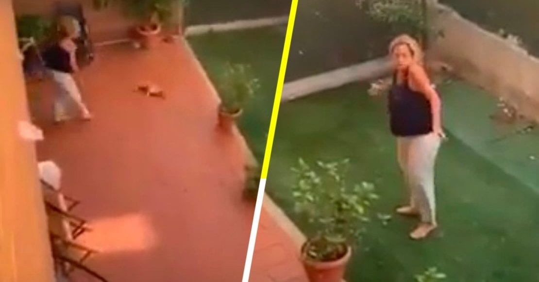 Mujer arroja contra el suelo a su perrita por hacer del baño dentro de la casa 1 perrita