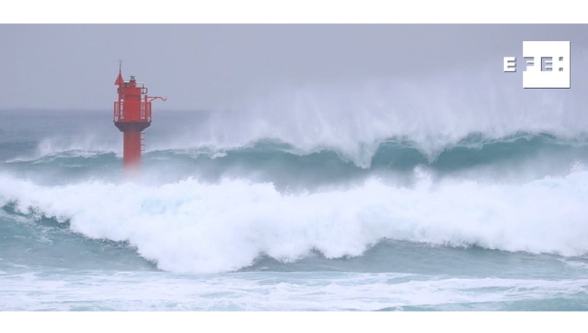VIDEO: Instan a evacuar a cinco millones de personas en Japón por el tifón Haishen 1 tifon 1