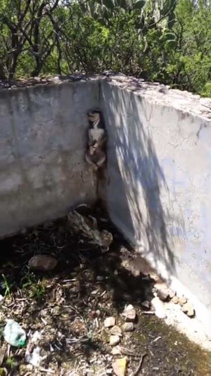 whatsapp image 2020 09 23 at 6 25 16 pm 1