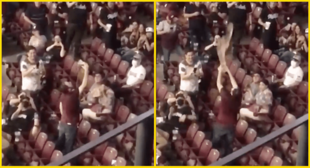 REGRESO A ESTADIOS 2