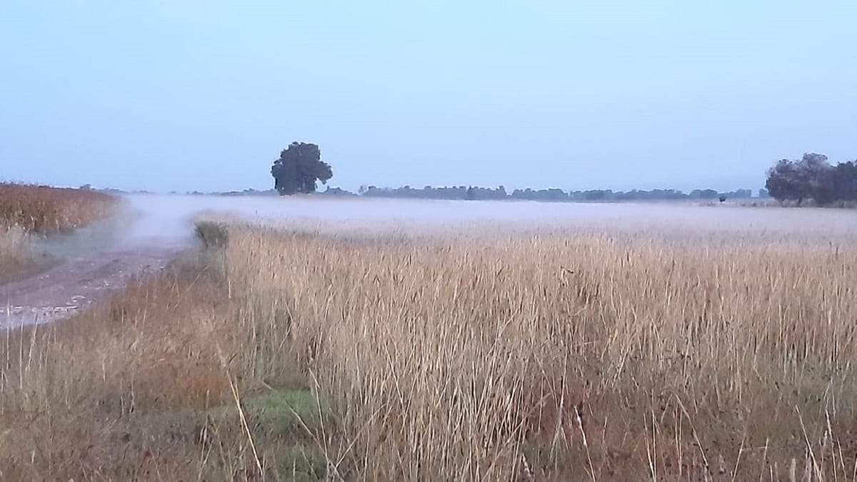 Se registra fuga de gas por toma clandestina en Tepeaca 1 Teaca
