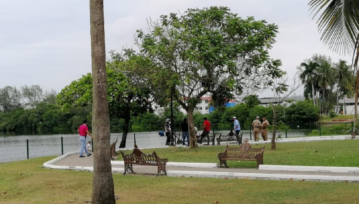 cocodrino laguna del carpintero tampico tamaulipas