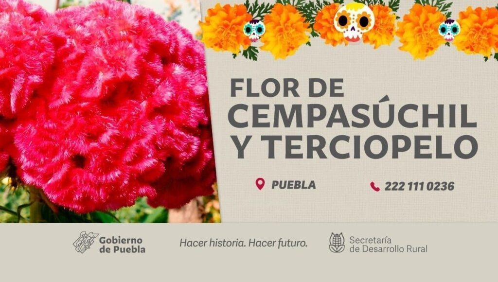 flor