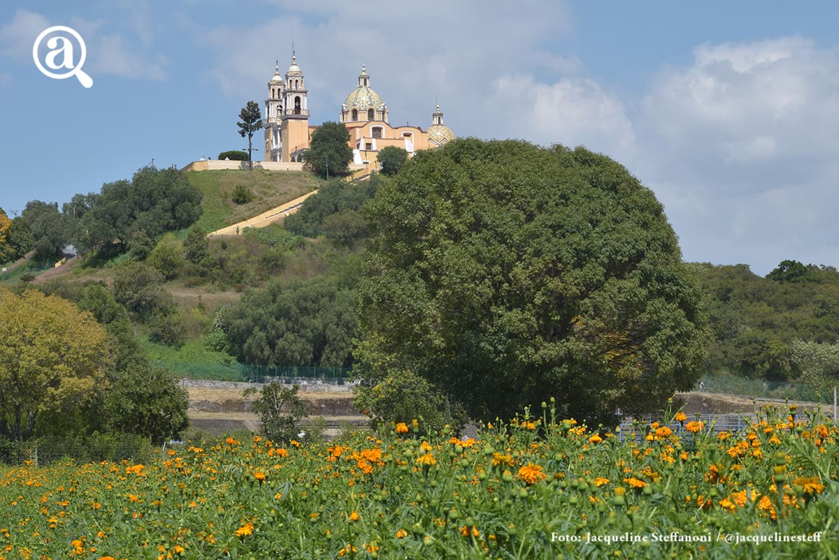 Campos De Atlixco Y Cholula Se Pintan De Naranja Con El Cempasuchil Almanaque