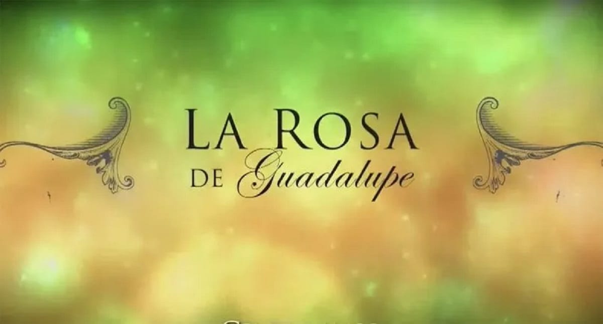 ¿Quieres aparecer en La Rosa de Guadalupe? Estos son los requisitos para participar 1 la rosa