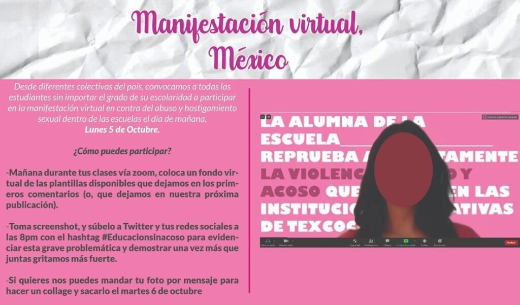 manifestacion virtual mujeres